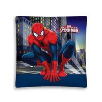 Spiderman Filled Cushion