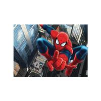 Spiderman Photo Wall Mural 360 x 254 cm
