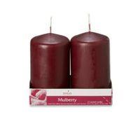 Spaas Mulberry Wine Pillar Candle Small Pack of 2
