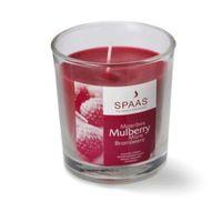 spaas mulberry wine glass candle