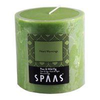 spaas pear fig pillar candle medium