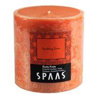 spaas exotic fruits pillar candle medium