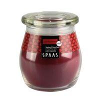 Spaas Strawberry & Forest Fruits Jar Candle Large