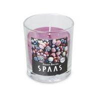 Spaas Frozen Berries Candle