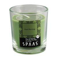 spaas pear fig glass candle small