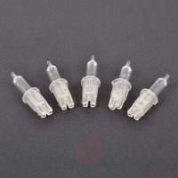 Spare 24 V push-in bulbs in pack of 5