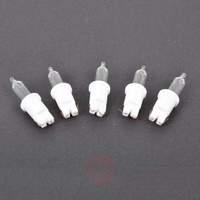 spare 5v push in bulbs in pack of 5