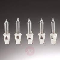 Spare 1.5 V push-in bulbs in pack of 5