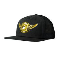 spitfire x anti hero classic eagle trucker cap black