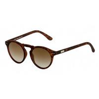 Spektre Sunglasses Cavour CV03D/Matte Tortoise (Gold Gradient)