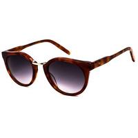 Spektre Sunglasses Quentin QT02A/Havana (Gradient Smoke)