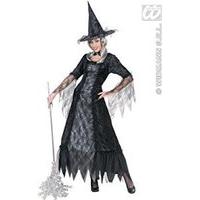Spiderweb Witch (xxl) (dress W/hoop Hat)