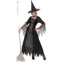 Spiderweb Witch (m) (dress W/hoop Hat)