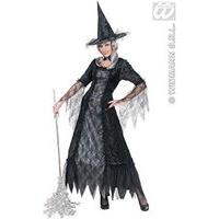 Spiderweb Witch (s) (dress W/hoop Hat)