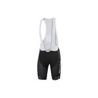 Sportful Gruppetto Pro Bibshort | Black/Grey - XL