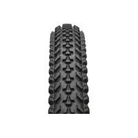 Specialized Fast Track Sport Mountain bike Tyre | 2 inch