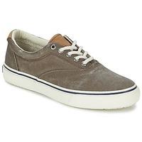 sperry top sider striper cvo mens shoes trainers in brown