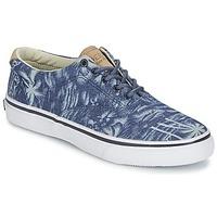 Sperry Top-Sider STRIPER CVO CHAMBRAY men\'s Shoes (Trainers) in blue