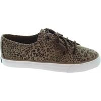 sperry top sider seacoast womens shoes trainers in brown