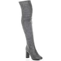 Spylovebuy LINCOLN Block Heel Over Knee Tall Boots - Grey Suede Style women\'s High Boots in grey
