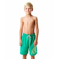 Speedo Graphic Logo 17 Inch Boys Watershorts - Green, M