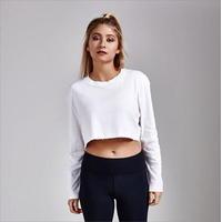 sportfx edition cropped sweater