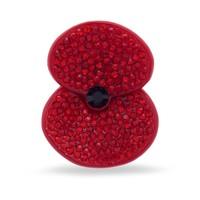 Sparkle Resin Poppy Brooch