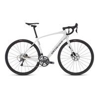 Specialized Diverge Expert Carbon - 2017 Road Bike