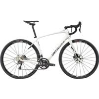 Specialized Diverge Expert CEN (2017)