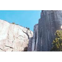 Squamish Half-Day Outdoor Rock Climbing