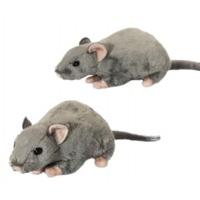 Squeaking Rat Soft Toy Animal