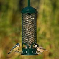 Squirrel Buster Mini Seed Feeder