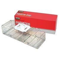 Squirrel Cage Trap 24in