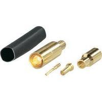 SSMB plug Plug, straight 50 ? BKL Electronic 0417500 1 pc(s)