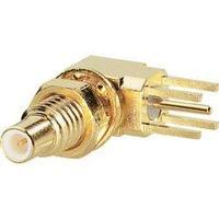 SSMC socket Socket, vertical ver...