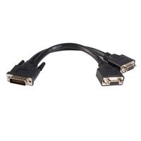 startechcom 8in lfh 59 male to dual female vga dms 59 cable