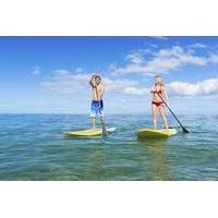 Stand-Up Paddleboard Lesson and Snorkeling in Kaneohe Bay