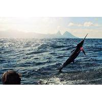 St Lucia Sport Fishing Tour