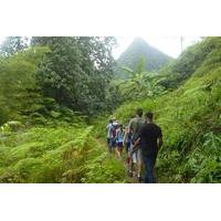 st lucia rainforest hiking tour