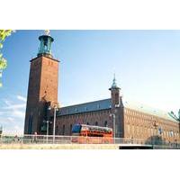 Stockholm Panoramic Sightseeing Tour