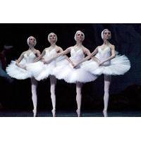 St. Petersburg: Swan Lake Ballet at the Hermitage Theater