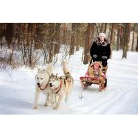 St. Petersburg Winter Peterhof Tour and Malamute Sledding