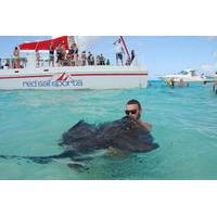 Stingray Sandbar and Rum Point Beach Adventure