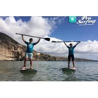 Stand up Paddle and Snorkeling Tour of Gran Canaria with Transfers