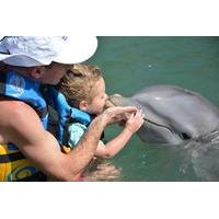 St Kitts Dolphin Encounter