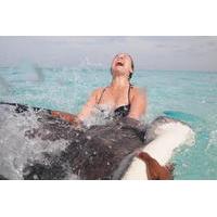 Stingray City Experience Plus Two Snorkeling Stops