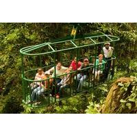 st lucia aerial tram rainforest tour