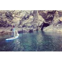 stand up paddle boarding taster session in tenby