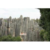 Stone Forest Private Day Tour