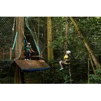 St Lucia Shore Excursion: Rainforest Aerial Tram and Zipline Canopy Tour
